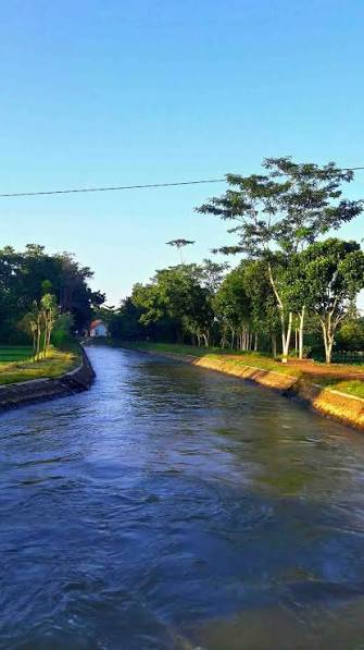 Cerita Liburan Minggu Pagi: Serunya Memancing Ikan di Sungai Desa